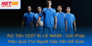 Rut Tien Usdt Bi Loi Net88 Giai Phap Hieu Qua Cho Nguoi Gap Van E Giao Dich