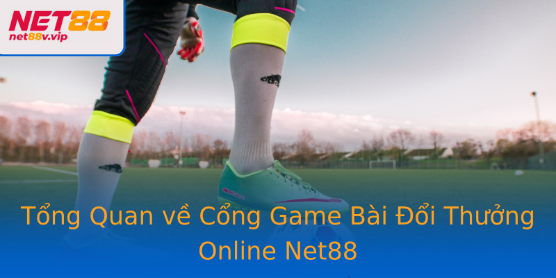 Tổng Quan về Cổng Game Bài Đổi Thưởng Online Net88
