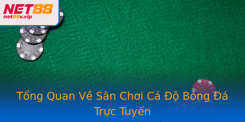 Tổng Quan Về Sân Chơi Cá Độ Bóng Đá Trực Tuyến