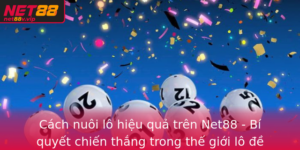 Cach Nuoi Lo Hieu Qua Tren Net88 Bi Quyet Chien Thang Trong The Gioi Lo E