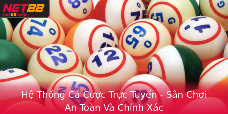 Hệ Thống Cá Cược Trực Tuyến - Sân Chơi An Toàn Và Chính Xác