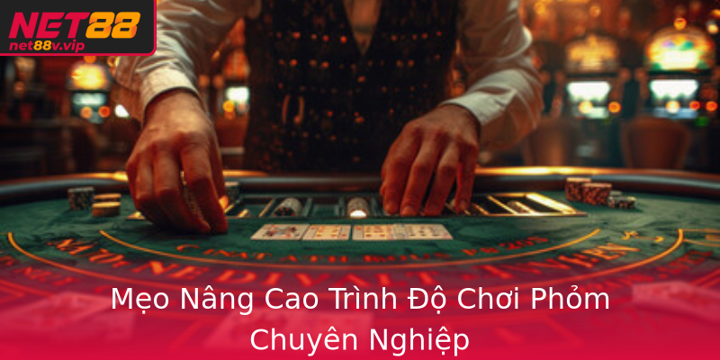 Mẹo Nâng Cao Trình Độ Chơi Phỏm Chuyên Nghiệp Mẹo Nâng Cao Trình Độ Chơi Phỏm Chuyên Nghiệp