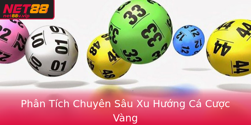 Phân Tích Chuyên Sâu Xu Hướng Cá Cược Vàng Phân Tích Chuyên Sâu Xu Hướng Cá Cược Vàng