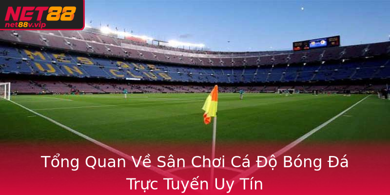 Tong Quan Ve San Choi Ca O Bong A Truc Tuyen Uy Tin