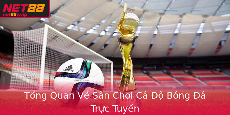Tổng Quan Về Sân Chơi Cá Độ Bóng Đá Trực Tuyến Tổng Quan Về Sân Chơi Cá Độ Bóng Đá Trực Tuyến